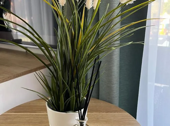 Seven Amber * פלאנגה